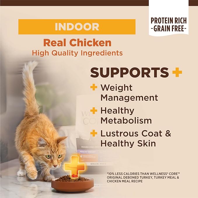 Wellness CORE+ Adult Dry Cat Food for Indoor Cats, Grain Free, Natural, Chicken, Turkey & Chicken Meal (11 Pound Bag)