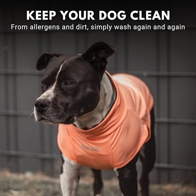 Spark Paws Sunblock Dog T-Shirt, SPF30 Protection, Lightweight Breathable Quick Dry for Dogs with Sensitive Skin - Purple & Peach (Set of 2) - XL
