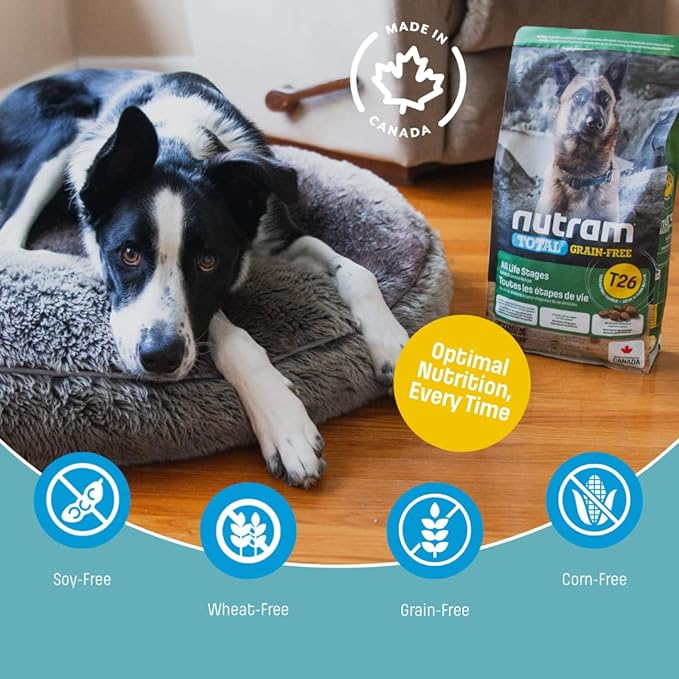 T26 Grain-Free Lamb & Lentils Dry Dog Food | High Protein, Chicken-Free Kibble with Pumpkin, Flaxseed & Salmon Oil | Easily Digestible, Allergy-Friendly for Puppies, Adults & Seniors (4.4 LBS)
