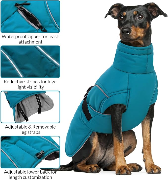 Queenmore XL Dog Coat, Winter Dog Jacket for Large Dogs, Waterproof Puffy Dog Snowsuit, Adjustable Reflective Fleece Lining Warm Padding Parka for Cold Weather, Blue XL