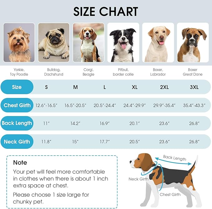 Queenmore Winter Dog Jackets, Dog Coats for Small Puppy, Warm Reflective Winter Dogs Coat, Waterproof Fall Pet Coats, Blue, S