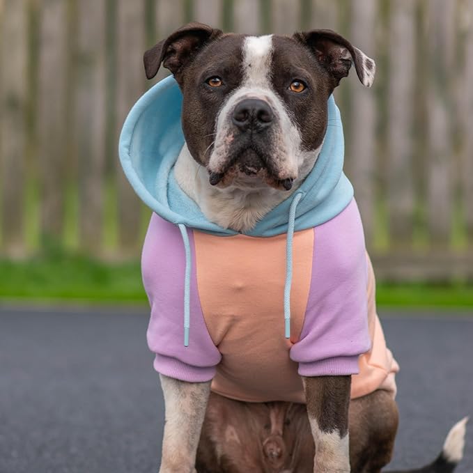 Spark Paws Dog Hoodie – Premium Dog Sweater for Small, Medium, and Large Dogs | Warm Outfits for French Bulldogs, Pitbull, Puppy, Winter Jacket Alternative - Cotton Candy - 5XL