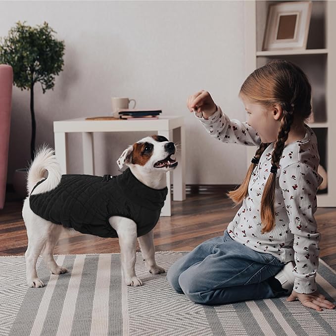 Kuoser Medium Dog Coat | All-Breed Thermal Wear with Windproof Layer | Reflective Tabs Enhance Visibility in Snow, Snap Buckles Simplify Dressing, Black M