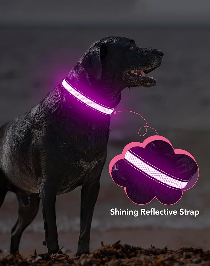Weesiber Light Up Dog Collar - LED Dog Collar Rechargeable Glow in The Dark Pet Collar, Reflective Safety Dog Lights for Night Walking(Pink, L)