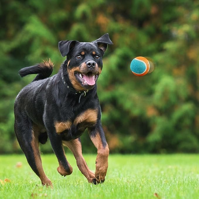 ALL FOR PAWS Tennis Balls Dog Toy, 2.5 Inch Pet Safe Fetch Balls for Dogs 20-60 lbs, Colorful Dog Balls Toys with Super Bounce (4 Pack)