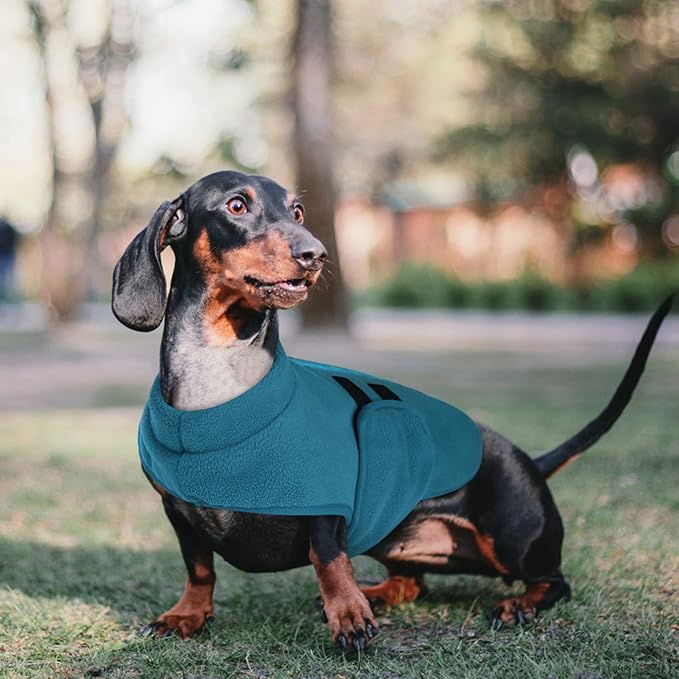 Queenmore Small Dog Sweater, Soft Fleece Vest Pullover Jacket With Leash Hole, Warm Winter Clothes for Cold Weather, Dachshund Sweater for Small Dogs Cats Boy or Girl (Peacock-Blue, XS)