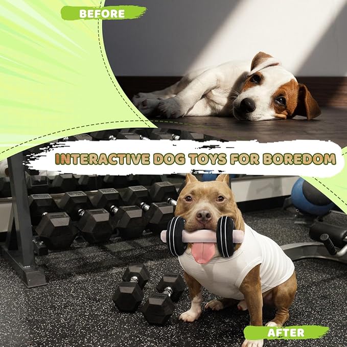 MFC®️Dog Dumbbell | Fun Squeaker Toy | Sports Dog Chew Toy | Durable Toys for Puppies and Adults | Dumbbell with Soft and Safe Material