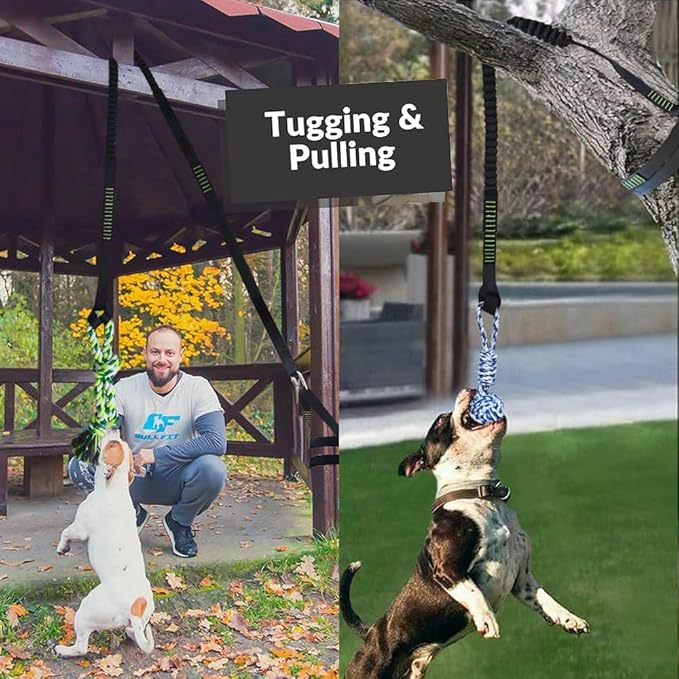 Outdoor Bungee Tug Solo Hanging Toy, Tree Tugger Dog Pull Rope Tug a War for Pitbull Medium Large Aggressive Chewers, Interactive Dog Tether Toy for Yard, 2 Rope Toys