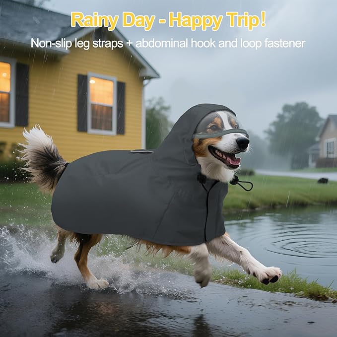 DENTRUN Dog Rain Poncho for Corgi, Schnauzer – Waterproof & Quick-Dry – Hooded Design with Leash Hole for Outdoor Adventures, Camping, City Strolls, L