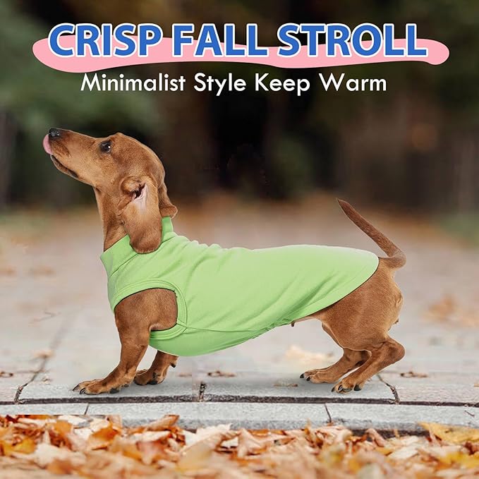 Dog Fleece Vest - Green, XL - Lightweight Sweater | Warm Stretchable Sweatshirt for Fall & Winter, Indoor Comfort Wear,Seasonal Underwear,Schnauzer