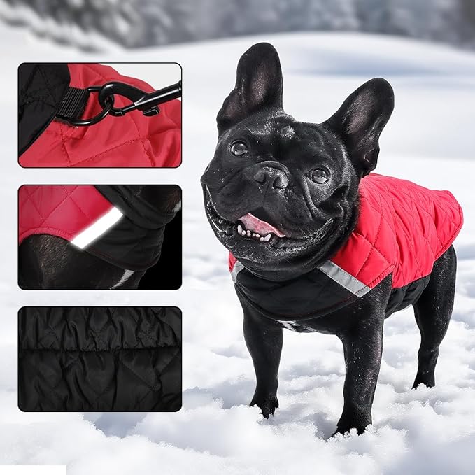 Reversible Waterproof Dog Coat - Adjustable Winter Jacket for Small to Large Breeds, Warm Cold Weather Apparel for Medium Dogs (Khaki & Yellow, X-Large (Pack of 1))