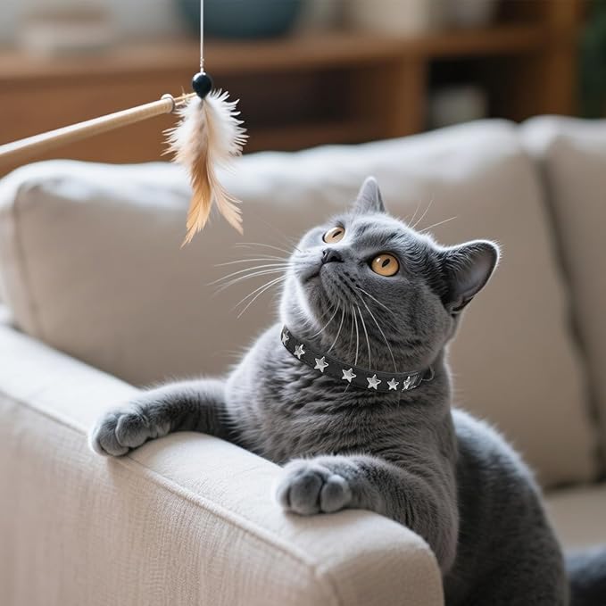 EXPAWLORER Halloween Leather Cat Collar - Adjustable Pet Collar with Rivet Spike for Girl Boy Cats, Punk Accessories with Bell & Durable D-Ring,Silver Pentagram