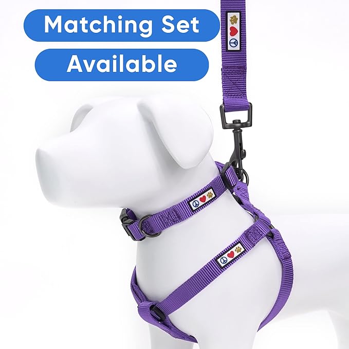 Pawtitas 6 FT Solid Color Leash for Puppy - Comfortable Handle Dog Training Leash - Extra Small/Small - Purple