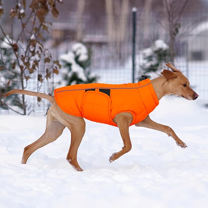 Kuoser Dog Jacket, Dog Coats for Large Dogs Winter Waterproof, Reflective Doggie Vest with Leash Hole, Cold Weather Coats Pet Snow Jacket for Labrador Beagle, Orange XL