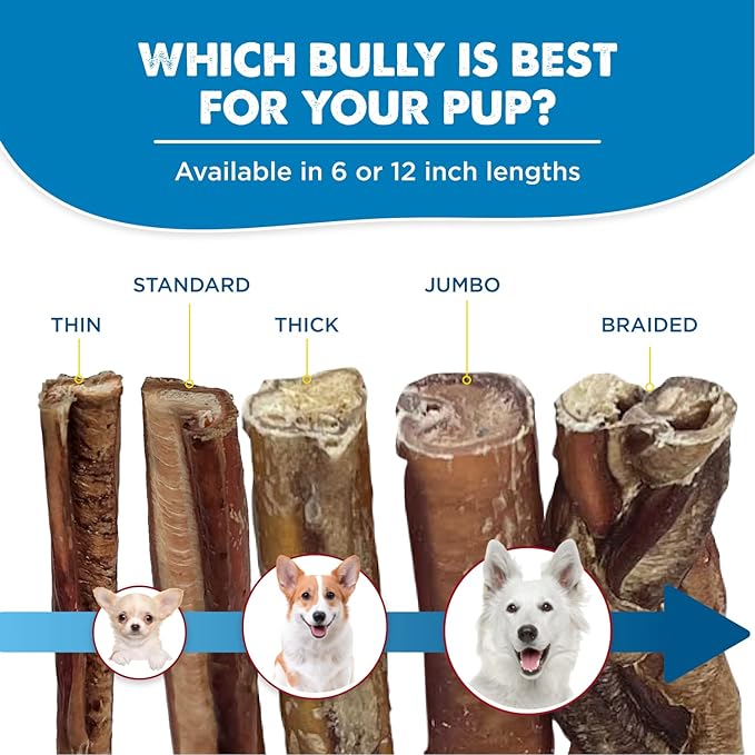 Best Bully Sticks 6 Inch Jumbo Bully Sticks for Dogs - 12 Count (Pack of 1) - Natural Grass-Fed Beef, Single Ingredient, Grain and Rawhide Free Chew, Large Breeds