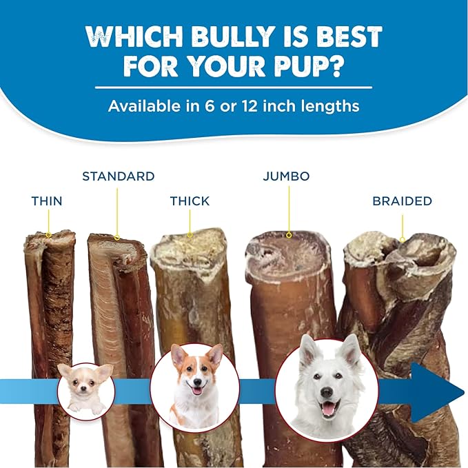 Best Bully Sticks Jumbo Bully Sticks - 12 Inch, 25 Count (Pack of 1) - Natural, Grass-Fed Beef, Single Ingredient, Grain-Free, Rawhide Alternative, Dog Treats for Large Dogs