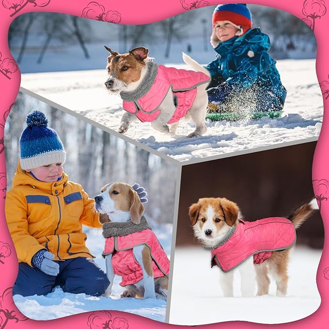 Fragralley Dog Winter Coat, Waterproof Windproof Reflective Fleece Jacket with Harness Hole, Warm Snow Vest for Small Medium Large Dogs, Ideal Gifts