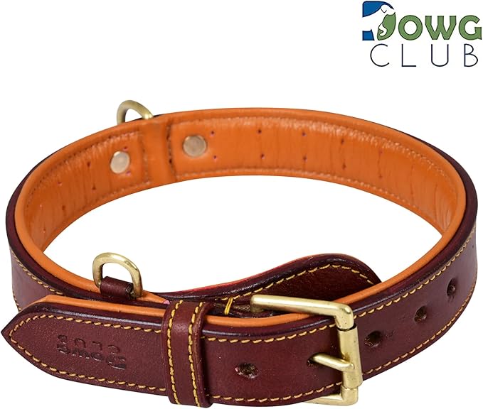 Genuine Leather Dog Collar | Padded, Full Grain, Heavy Duty, Comfortable, Strong | Best for Pups, Small, Medium, Large & XL Breeds (Small (Fit Neck Size 11.5"-14.5"), Dark Brown)