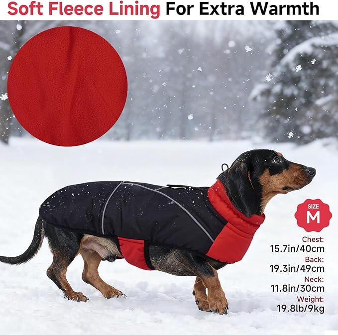 DORA BRIDAL Dachshund Coat, Fleece Lined Dog Winter Coat, Warm Dog Coats with Reflective Strips, Adjustable Waterproof Pet Jacket Clothes, S