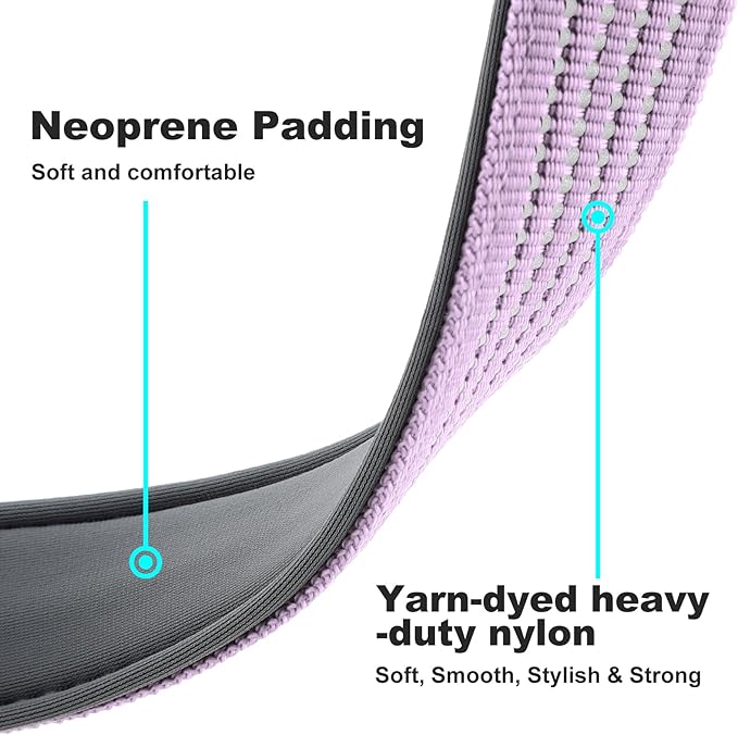 Plutus Pet Reflective Dog Collar with Aviation Aluminum Buckle, Neoprene Padded for Comfort, Lightweight, Heavy Duty Nylon Collar for Puppy Small Medium Large Dogs (Lilac Purple, XL)