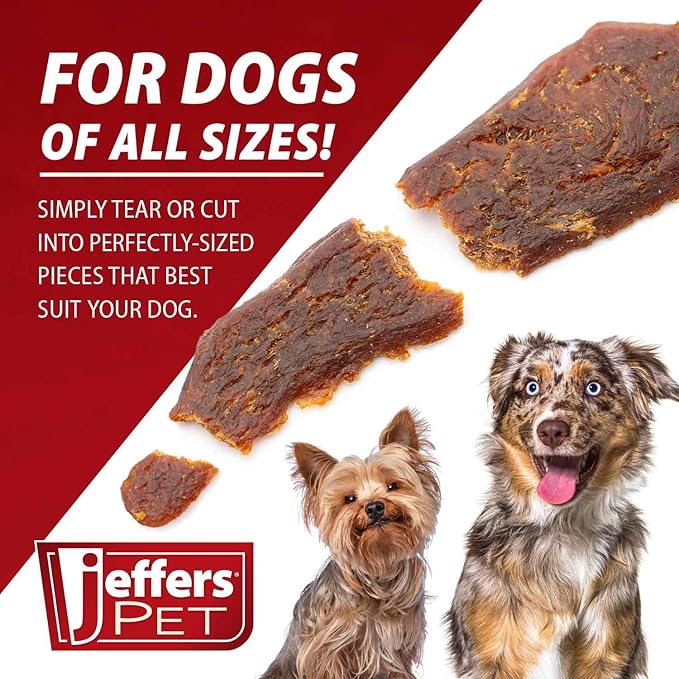 Jeffers Chicken Jerky Dog Treats, 24 oz Bag – Limited Ingredient, Healthy Training Snack, Grain Free, High Protein, 100% Real Chicken, Natural Made in USA, Perfect for Halloween & Christmas - 2 Pack