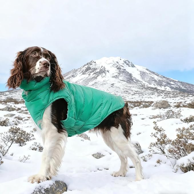 Dog Coats for Small Dogs, Warm Dog Puffer Vest for Winter Waterproof, Lightweight Down Pet Coats with Zipper & Neck Wrap, Warm Jacket for Dachshund, West Highland White Terrier, Green S