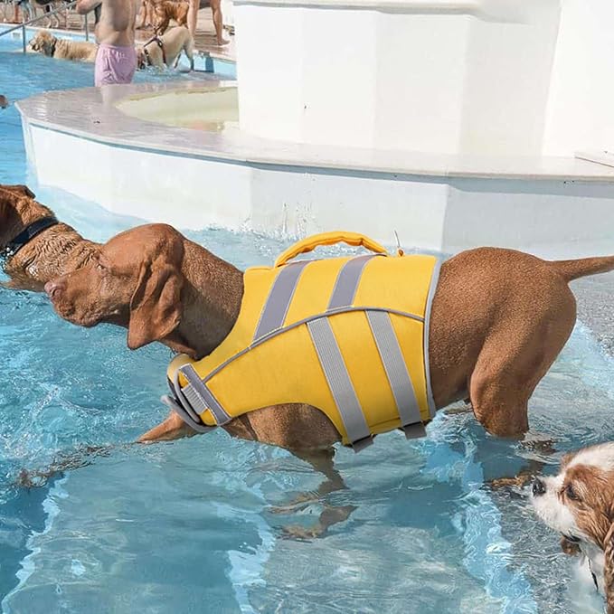 Kuoser High Visibility Dog Life Jacket with Reflective Stripes - Adjustable Ripstop Pet Lifesaver with High Flotation for Small, Medium & Large Dogs