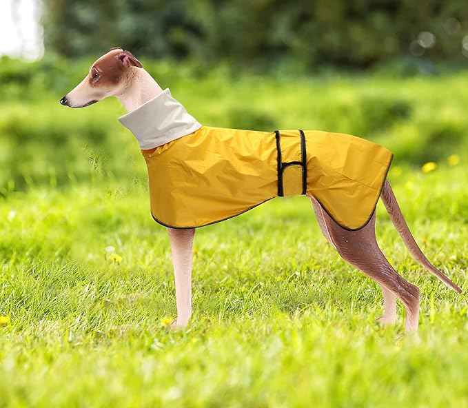 Dog Raincoat with Reflective Bar, Rain/Water Resistant, Adjustable Vest - Dog Raincoats for Greyhounds, Lurchers and Whippets - Yellow - S