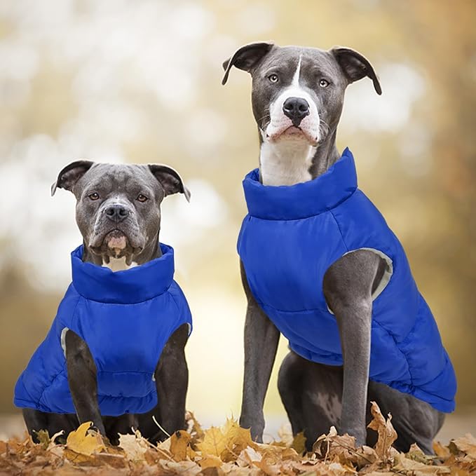Kuoser Dog Coat Puffer Vest, Warm Dog Jacket Windproof Dogs Cold Weather Coats Pet Snowsuit Padded Vests, Lightweight Puppy Winter Clothes for Small Dogs, Button Design, Easy On/Off, Blue S