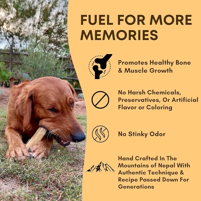 Yak Cheese Himalayan Dog Chews – Long-Lasting Natural Chews for Aggressive Chewers – 2-Ingredient, High Protein, Odorless, Dental Health Treats for Dogs (Large, 4 Pack)