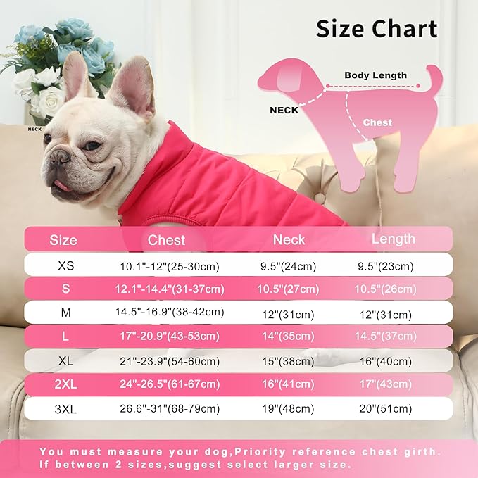 2 Layers Fleece Lined Warm Dog Jacket for Puppy Winter Cold Weather,Soft Windproof Small Dog Coat,Pink S