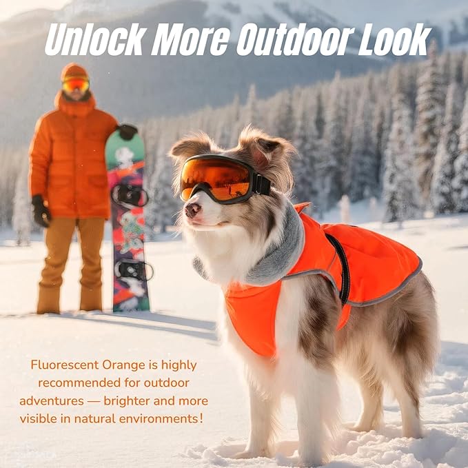Insulated Outdoor Dog Winter Jacket, Hard Shell Pet Coat with 2 Layer Warmth, Waterproof & Lightweight Coats for Medium Dogs with Leash Portal, Durable 3D Belly Cut Jackets for Dachshund (Orange, M)
