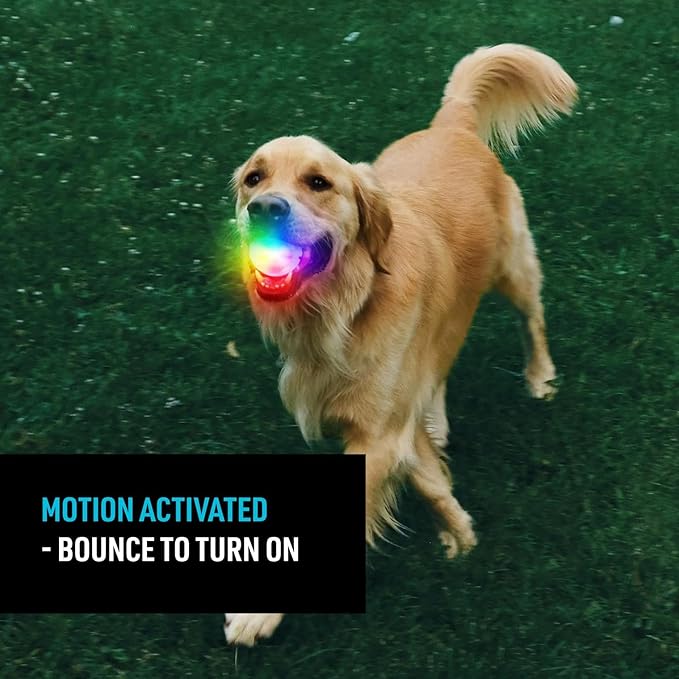 Nite Ize GlowStreak Rechargeable LED Ball - Rubber Dog Toy - Motion-Activated & Waterproof Design - 9 Hours of Runtime - Premium Dog Toys - Disc-O