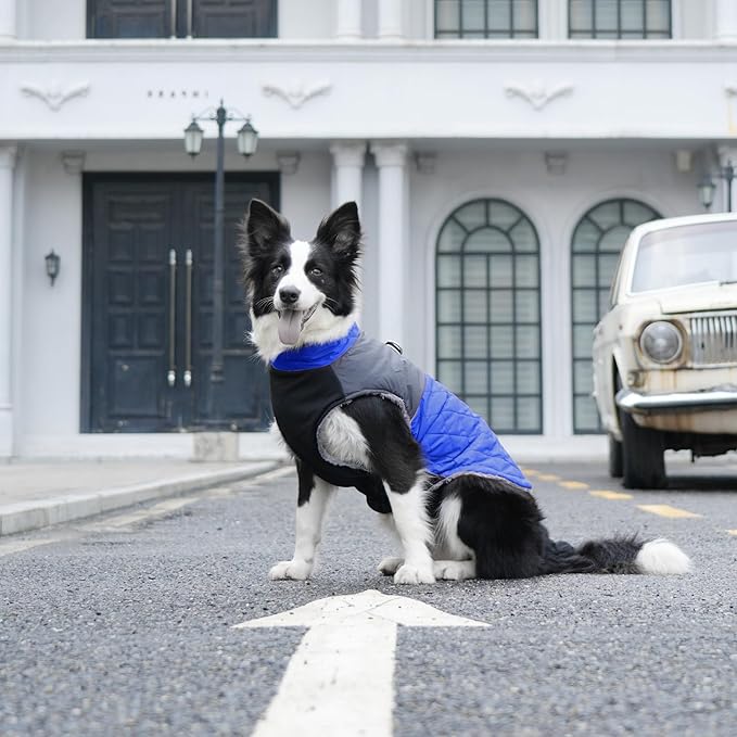 Warm Fleece Dog Coats for Medium Dogs,D-Rings Waterproof Puppy Jacket for Cold Winter,Blue L