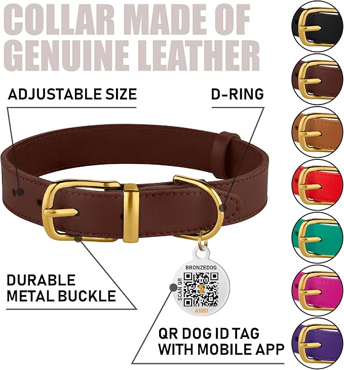 BRONZEDOG Leather Dog Collar with Metal Buckle Durable Basic Pet Collars for Small Medium Large Dogs (13-16 Inch (Pack of 1), Dark Brown & Gold Buckle)