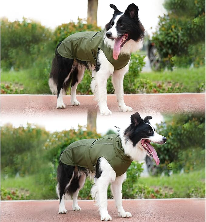 Waterproof Dog Raincoat, Adjustable Lightweight Dog Rain Jacket with Reflective Strip Leash Hole for Small Medium Large Dogs (Green, Large(22-37lb))