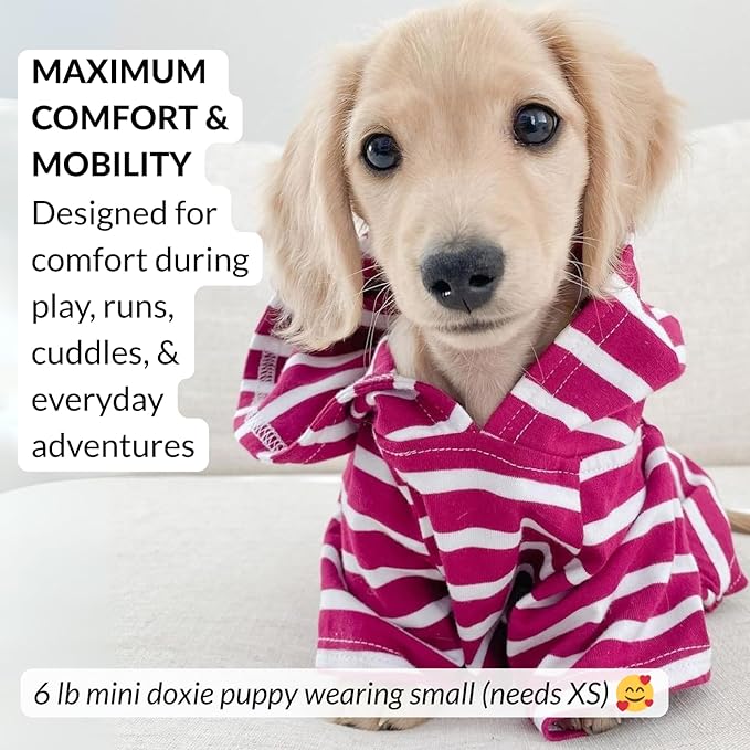DJANGO Dog Hoodie – Warm, Lightweight, Soft & Stretchy Dog Sweater with Hood, Harness Hole & Elastic Waistband – Cozy Sweatshirt for Small Dogs up to 25 lbs, Dachshunds & Puppies – Boysenberry, XS