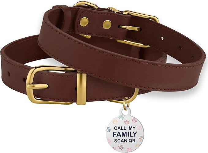 BRONZEDOG Leather Dog Collar with QR ID Tag Basic Pet Collars for Small Mini Dogs Cats Puppies (7-9 Inch (Pack of 1), Dark Brown & Gold Buckle)