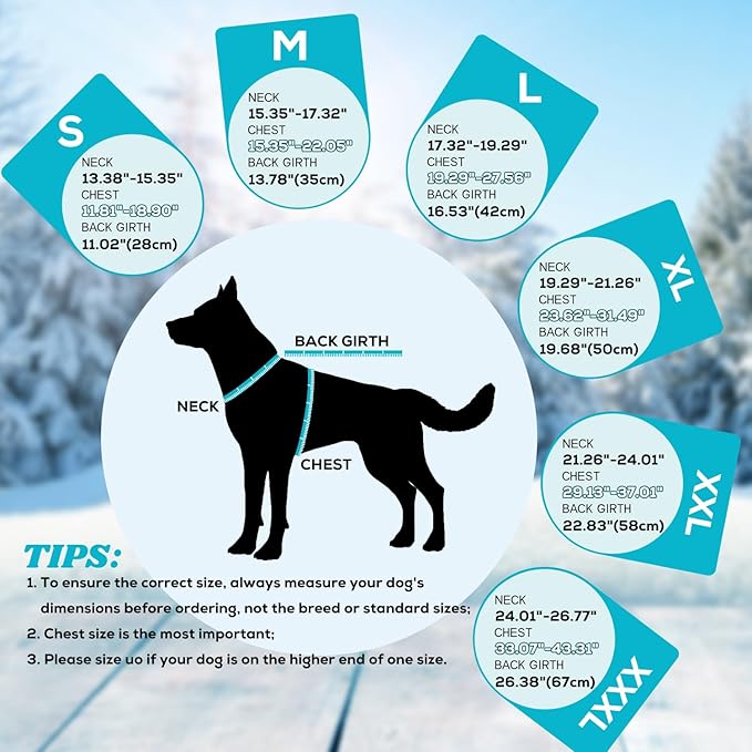 EMUST Dog Winter Coat, Thick Windproof Pet Jacket Winter, Pet Cold Weather Coats for Small/Medium/Large Dog, Turquoise, XXL