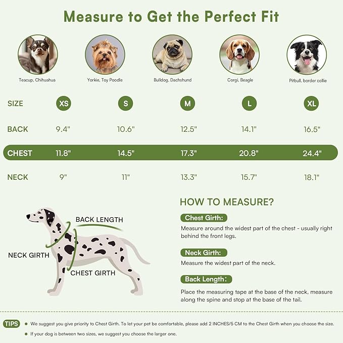 Queenmore Small Dog Sweater, Knitted Pullover Puppy Sweater,Cold Winter Pet Sweaters for Dog Girls Boys, Soft Turtleneck Knit Sweater with Leash Hole,Long Sleeves Christmas DogSweater(Green,XS)
