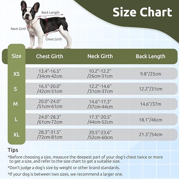ASENKU Warm Dog Winter Coat, Waterproof Dog Coat for Cold Weather, Fleece Dogs Jacket with Ultra Thick Plush Lining Leash Hole Storage Pockets for Medium Dogs (Green, Medium)