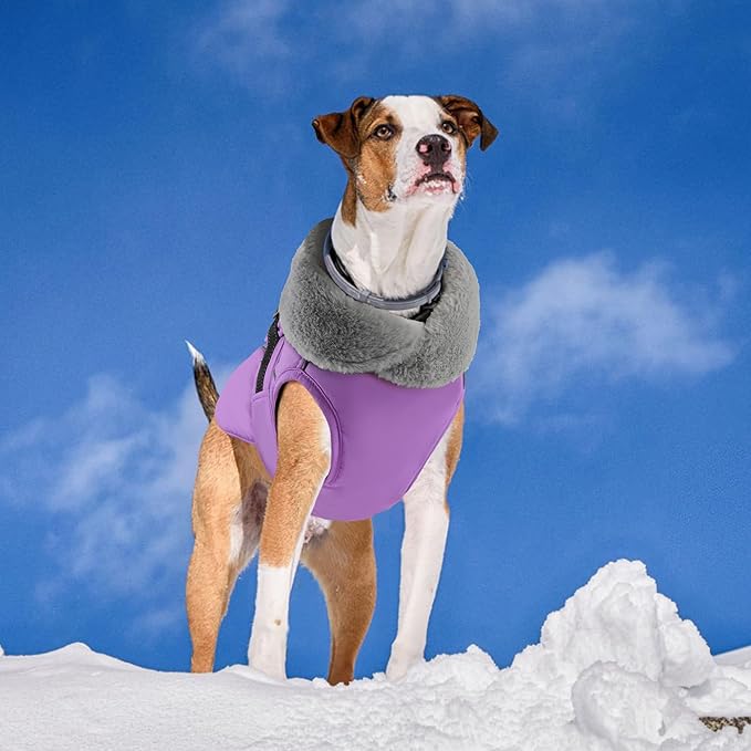 PETDSH Dog Coat Large, Windproof Dog Jacket with Warm Fleece Lining, Thickened Collar Dogs Winter Coat, Adjustable Reflective Pet Coats for Cold Weather (Purple, X-Large)