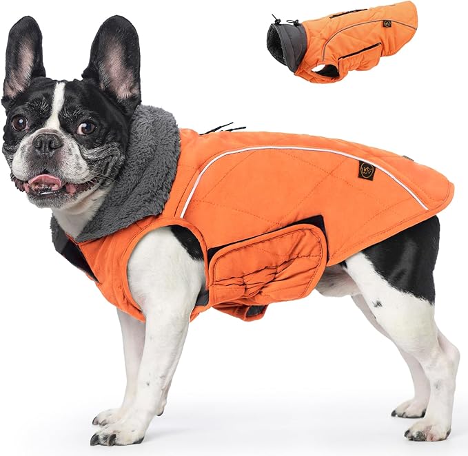 EMUST Winter Dog Coats, Fleece Dog Apparel for Cold Weather, British Style Windproof Warm, Orange, XS