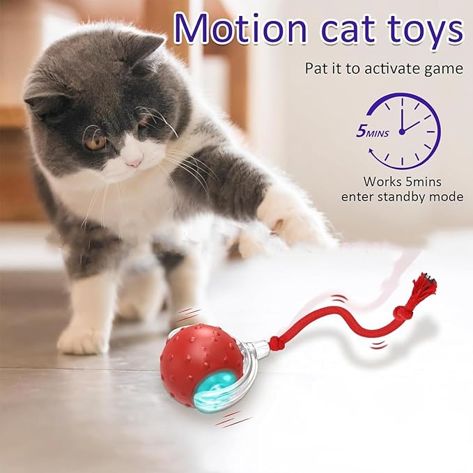 Tiny Fetch Dog Toy - Interactive Dog Toys, 360°Smart Automatic Rolling Electric Dogs Ball Toy with Birdsong, Automatic Obstacle Avoidance, Rechargeable, Boredom Relief for Dogs & Cats (Red*1+Blue*1)