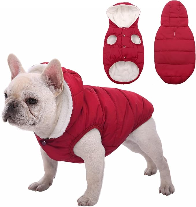 Windproof Waterproof Dog Coat Fleece & Cotton Lined Warm Jacket, Cold Weather Pet Apparel Clothes Vest for Small Medium Large Dog (L, Red)