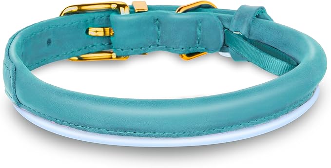 OOPSDOGGY Reflective Rolled Leather Dog Collar Adjustable Soft Padded Pet Collar for Small Medium Large Breed Dogs (Teal, S, 10"-13")