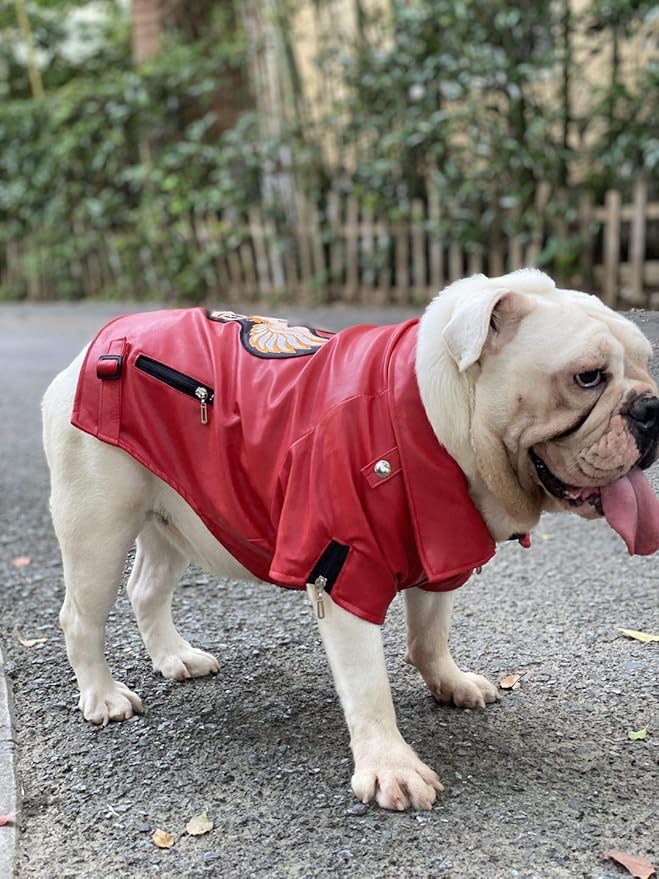 Lovelonglong Cool Dog Leather Jacket, Warm Coats Dogs Windproof Cold Weather Coats for Large Medium Small Dogs with Eagle Embroidery Red B-L