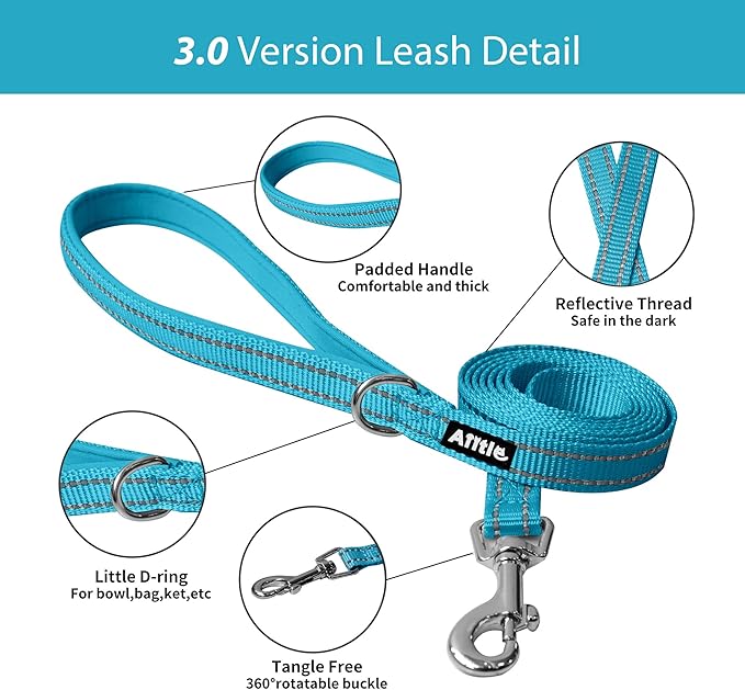 AIITLE Easy Walk Dog Harness and Leash Set - Pet Supply No Pull, Step in Adjustable Pet Harnesses with Padded Vest for Summer, No Choke Over, Easy to Put on Medium Dogs Hot Pink L