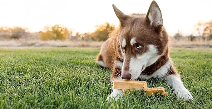 peaksNpaws Yak Cheese, High Protein, Himalayan Dogs Chews, Natural Dog Treats, Lactose Free, Long Lasting Dogs Treat for Aggressive Chewers Under 55 lbs, 8 Large Chew Sticks
