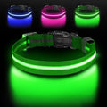 Light Up Dog Collar, Adjustable USB Rechargeable Glow in Dark Dog Collar ，Waterproof Dog Collars for Medium Dogs (Green, Medium)